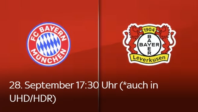 bayern-baer#